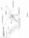 Fig. 02 - Speckle Noise Reduction in Coherent Imaging Systems
