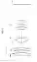 Fig. 10 - Optical system and optical apparatus including optical system