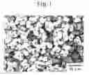 Fig. 02 - SIALON-BASED OXYNITRIDE PHOSPHOR AND PRODUCTION METHOD THEREOF