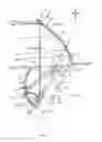 Fig. 03 - Lamp for vehicle