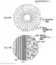 Fig. 06 - Apparatus for initializing and method of manufacturing optical disc, and initialization reference plate