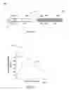 Fig. 03 - Enhanced security of optical article