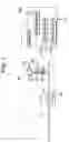 Fig. 02 - Apparatus and method for recording information in optical storage medium