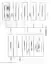 Fig. 17 - Method and system for reporting events in telecommunication networks