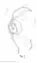 Fig. 02 - Headphones