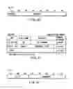 Fig. 31 - Information recording method, information recording medium, and information reproducing method, wherein information is stored on a data recording portion and a management information recording portion