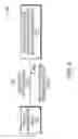 Fig. 05 - Method and apparatus for polarization stabilization in optical receivers with complex modulation formats
