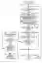 Fig. 01 - Image forming apparatus