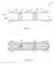 Fig. 02 - ILLUMINATION UNIT FOR LIQUID DISINFECTION SYSTEMS