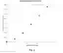 Fig. 09 - Catalyst for generating oxidized mercury for testing mercury continuous emission monitors (CEM)