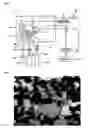 Fig. 02 - Method for Production of Carbon Nanotube and Method for Purification of the Same