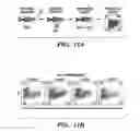 Fig. 22 - Method to modulate hematopoietic stem cell growth