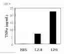 Fig. 09 - METHODS FOR ENHANCING INNATE AND ADAPTIVE IMMUNITY AND ANTIGEN IMMUNOGENICITY