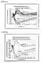 Fig. 07 - Calcium-sensing receptor 2 (CaR2) and methods for using