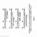 Fig. 02 - Methods of inhibiting the PSGL-1-mediated adhesion and chemokine-mediated migration with PSGL-1-specific antibodies