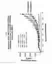 Fig. 02 - Cripto Blocking Antibodies and Uses Thereof