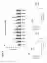 Fig. 06 - IL-8 as a biomarker for sunitinib resistance