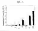 Fig. 02 - NOVEL MEMORY CTL INDUCTION POTENTIATOR