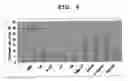 Fig. 07 - NOVEL MEMORY CTL INDUCTION POTENTIATOR