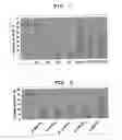 Fig. 08 - NOVEL MEMORY CTL INDUCTION POTENTIATOR