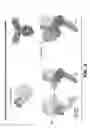Fig. 07 - HER2 antibody composition