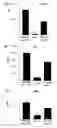 Fig. 01 - Use of soluble CD164 in inflammatory and/or autoimmune disorders