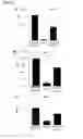 Fig. 08 - Use of soluble CD164 in inflammatory and/or autoimmune disorders