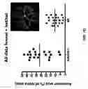 Fig. 04 - METHODS FOR TREATING PATHOLOGICAL NEOVASCULARIZATION