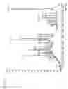 Fig. 09 - EPITOPE SEQUENCES