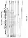 Fig. 45 - EPITOPE SEQUENCES