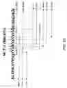 Fig. 72 - EPITOPE SEQUENCES