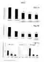 Fig. 08 - METHODS AND COMPOSITIONS FOR IMMUNIZING AGAINST PSEUDOMONAS INFECTION