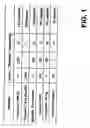 Fig. 02 - Therapeutic formulation