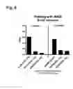 Fig. 07 - Malaria prime/boost vaccines