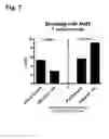 Fig. 08 - Malaria prime/boost vaccines