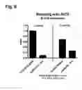 Fig. 09 - Malaria prime/boost vaccines