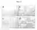 Fig. 03 - Dried reconstituted vesicle formation for pharmaceutical application