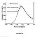 Fig. 07 - Method of forming a drug nanocarrier having a magnetic shell