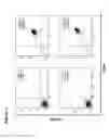 Fig. 02 - Erythrocytes differentiated in vitro from nanofiber expanded CD133+ cells