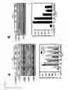 Fig. 04 - Trachelospermi Caulis Extract Composition for the Treatment and Prevention of Inflammatory Diseases
