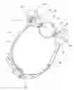 Fig. 01 - BALL GAG TOY