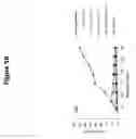 Fig. 07 - SOLUBILITY-REDUCED, BETA-GLUCAN CONTAINING PRODUCTS AND METHODS OF PRODUCING AND USING SUCH PRODUCTS