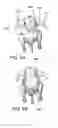 Fig. 07 - VALUE WHOLE POULTRY PRODUCT AND METHOD FOR MANUFACTURE