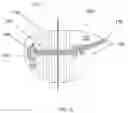 Fig. 02 - Method of cutting ham and product thereof