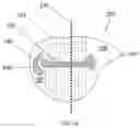Fig. 06 - Method of cutting ham and product thereof