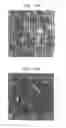 Fig. 16 - Laser-produced porous surface