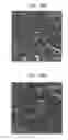 Fig. 19 - Laser-produced porous surface