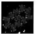 Fig. 01 - METHOD FOR GENERATING SUPRAMOLECULAR ROTARY DEVICES AND SUPRAMOLECULAR ROTARY SWITCH