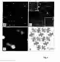 Fig. 04 - METHOD FOR GENERATING SUPRAMOLECULAR ROTARY DEVICES AND SUPRAMOLECULAR ROTARY SWITCH