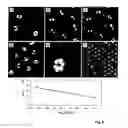 Fig. 05 - METHOD FOR GENERATING SUPRAMOLECULAR ROTARY DEVICES AND SUPRAMOLECULAR ROTARY SWITCH